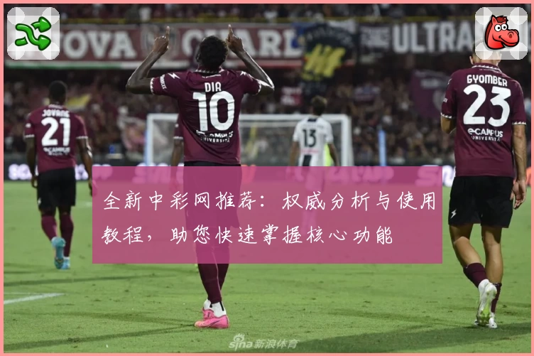 全新中彩网推荐：权威分析与使用教程，助您快速掌握核心功能