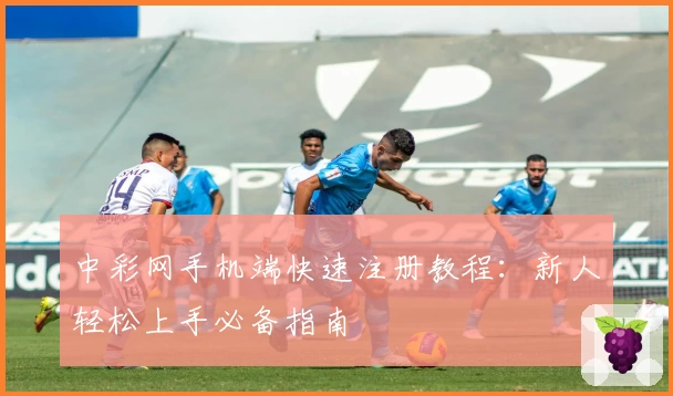 中彩网手机端快速注册教程：新人轻松上手必备指南