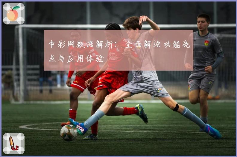 中彩网数据解析:全面解读功能亮点与应用体验
