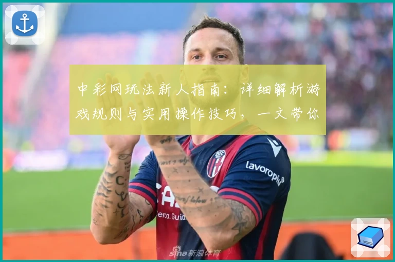中彩网玩法新人指南:详细解析游戏规则与实用操作技巧,一文带你快速上手