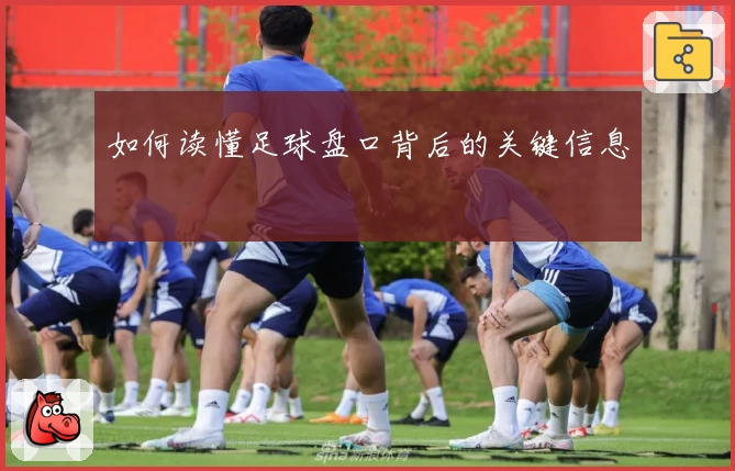 如何读懂足球盘口背后的关键信息