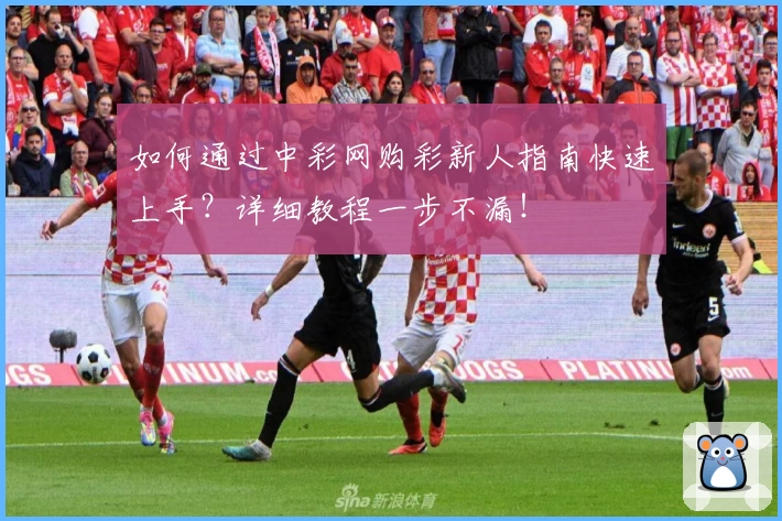 如何通过中彩网购彩新人指南快速上手?详细教程一步不漏!
