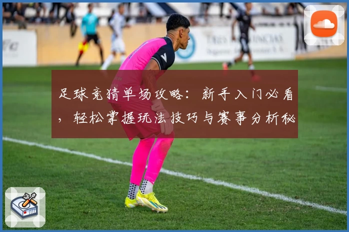 足球竞猜单场攻略：新手入门必看，轻松掌握玩法技巧与赛事分析秘籍
