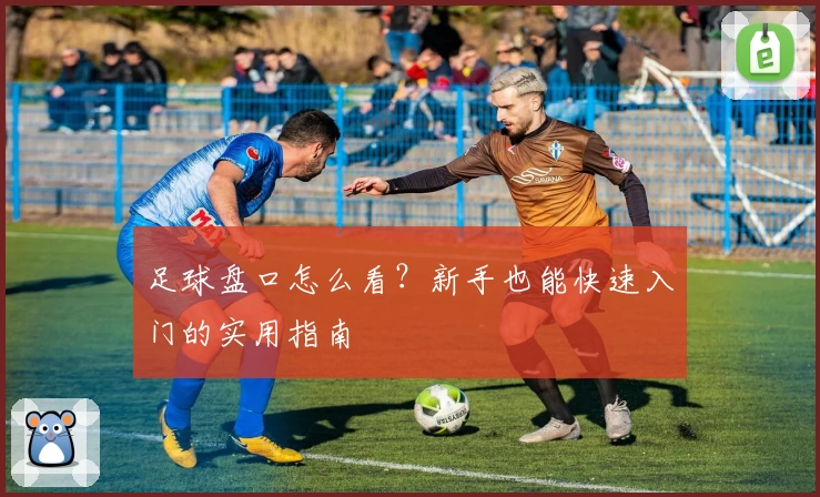 足球盘口怎么看?新手也能快速入门的实用指南